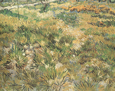 Meadow in the Garden of Saint-Paul Hospital (nn04)